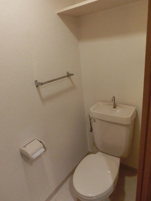 Toilet. With storage shelves and towel hanger