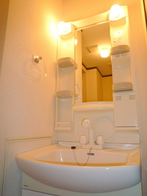 Washroom. Washbasin glad shampoo dresser