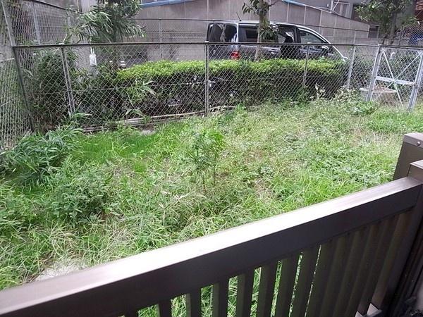 Garden. Private garden