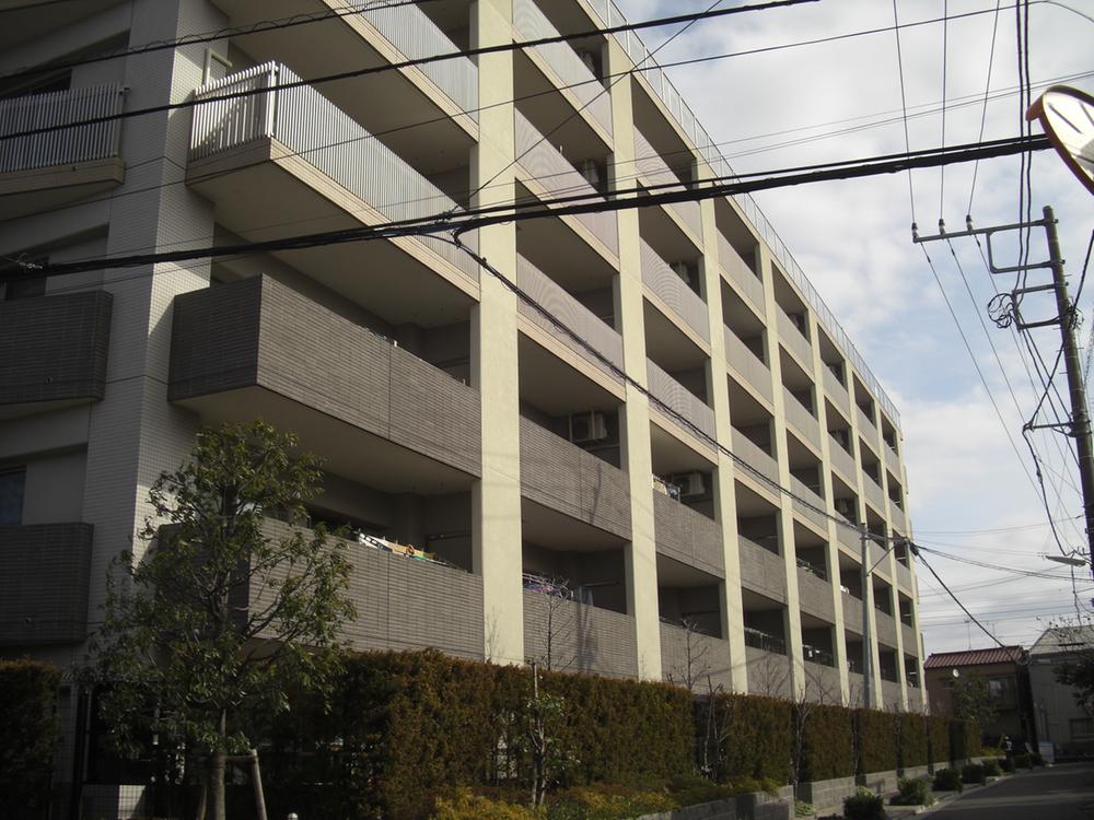 Local appearance photo. Local (September 2013) Shooting