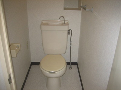 Toilet. Toilet