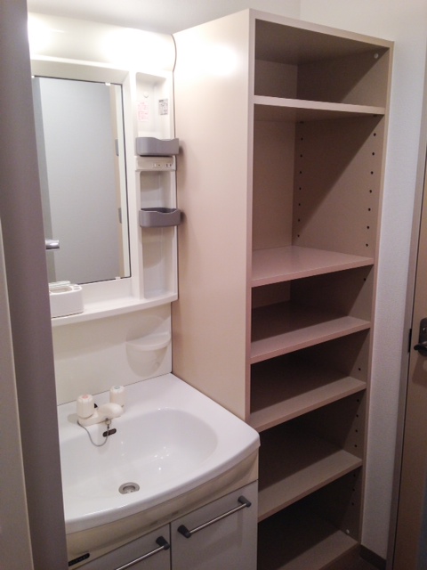 Washroom. Vanity and storage shelves