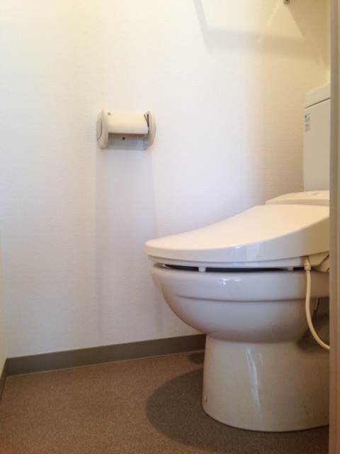 Toilet. Washlet toilet seat