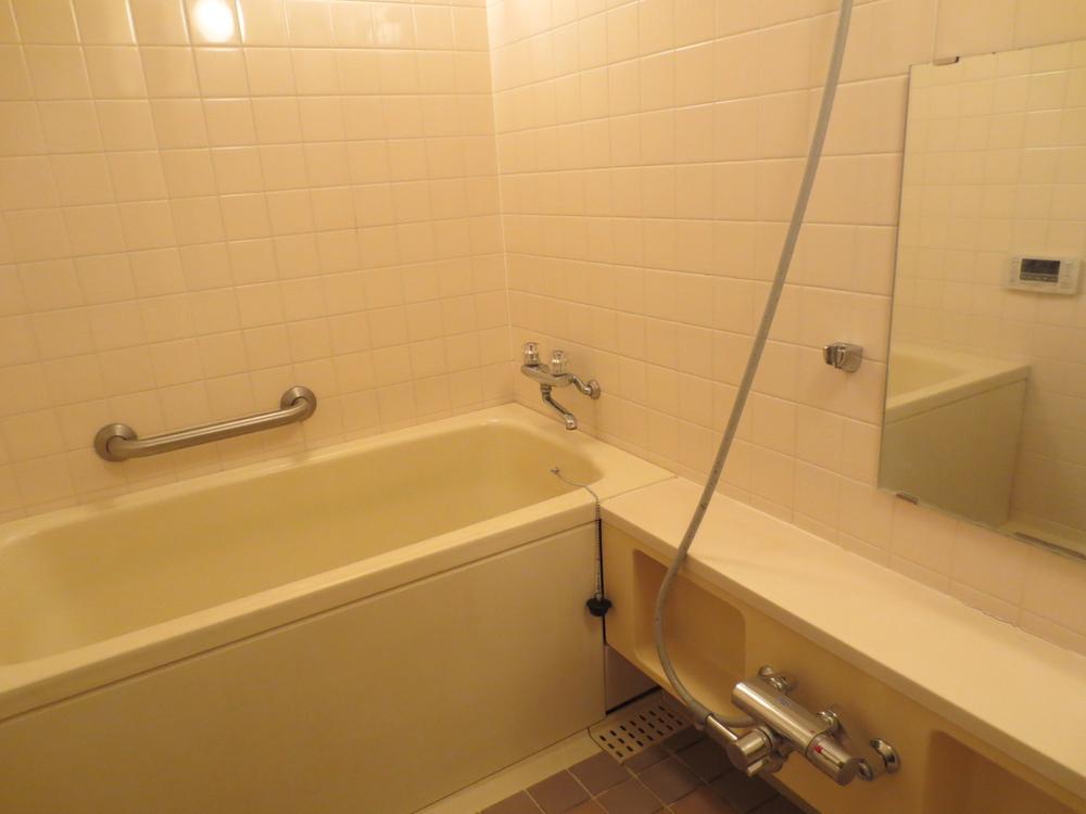 Bathroom. Indoor (January 2014) Shooting