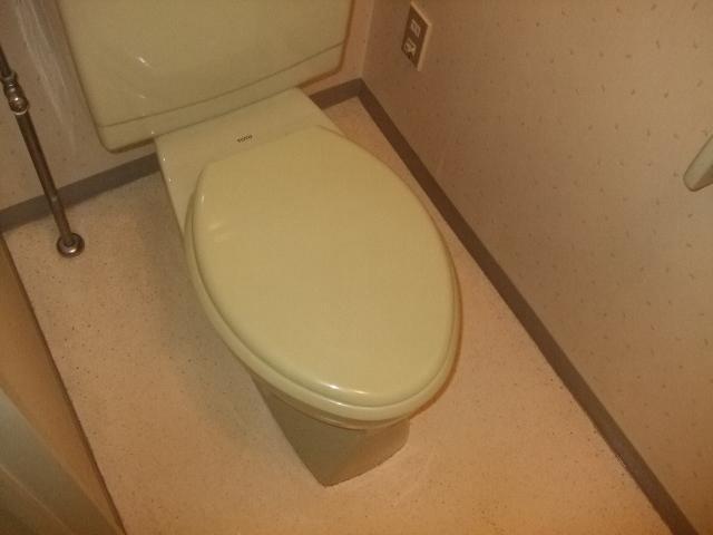 Toilet. Toilet