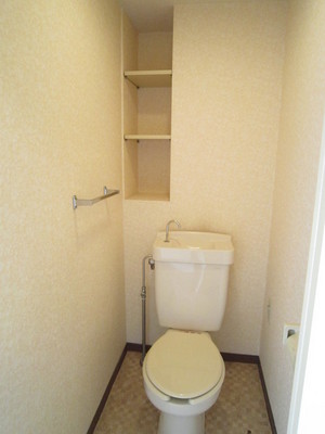 Toilet. There shelf in toilet