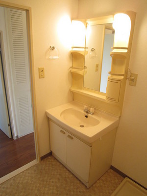 Washroom. Shampoo dresser equipped