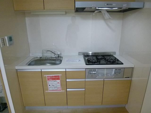 Kitchen. Indoor (10 May 2013) Shooting