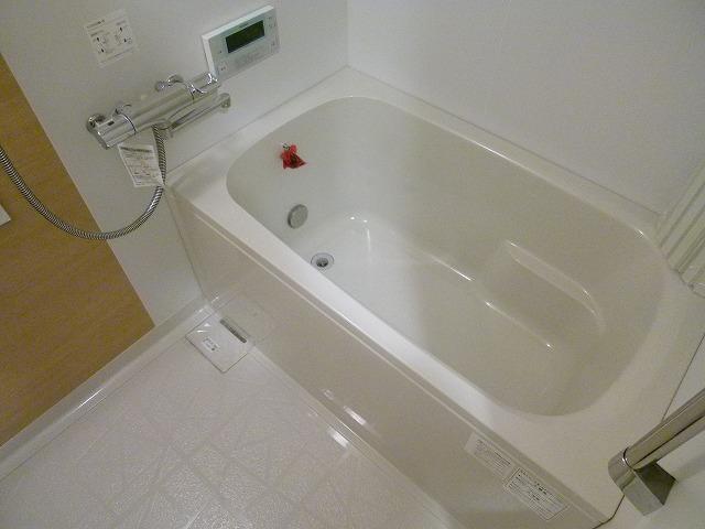 Bathroom. Indoor (10 May 2013) Shooting