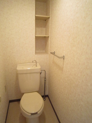 Toilet. There shelf in toilet