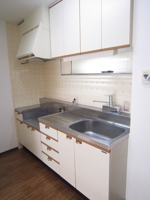 Kitchen. Two-burner gas stove installation Allowed