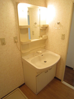 Washroom. Wash basin with shampoo dresser