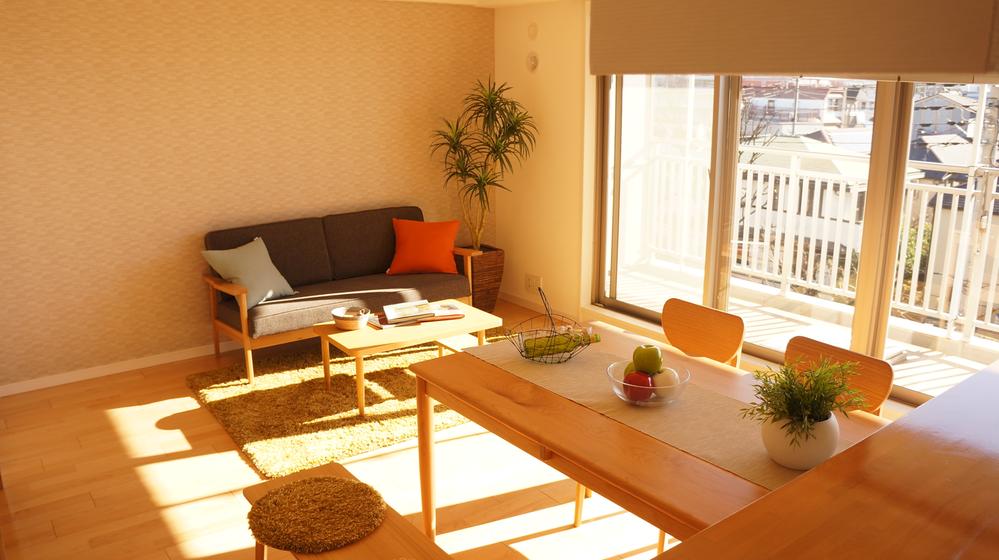 Living. Indoor (12 May 2013) Shooting