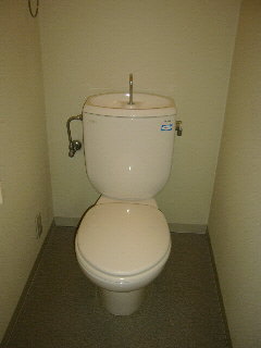 Toilet. Toilet