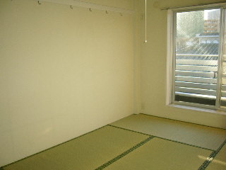 Living and room. tatami