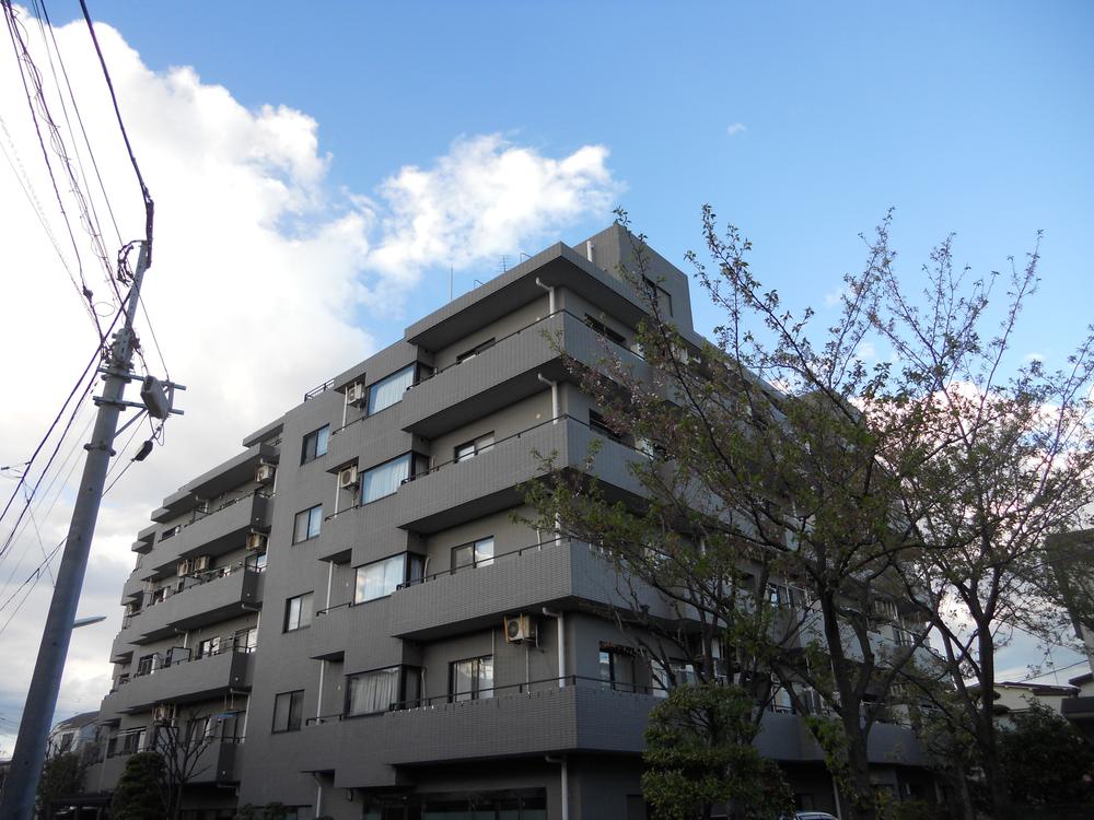 Local appearance photo. Mansion appearance