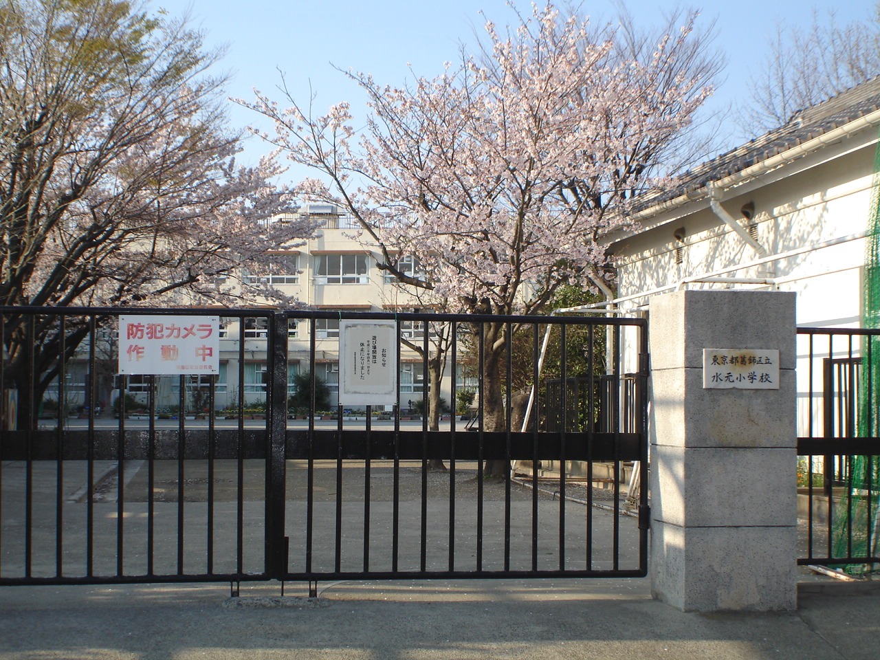 Primary school. 451m to Katsushika Ward fountain elementary school (elementary school)