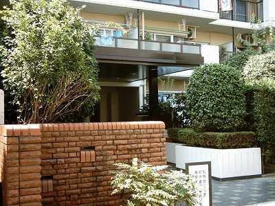 Entrance. Common areas