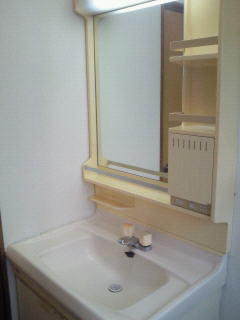 Washroom. Bathroom vanity