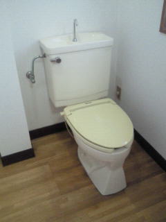 Toilet. Spacious toilet