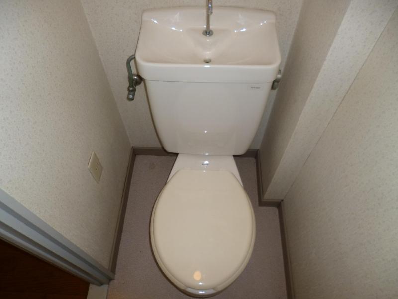 Toilet. Toilet