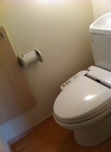 Toilet. Washlet toilet seat