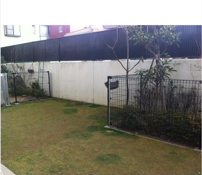 Katsushika-ku, Tokyo swan 2