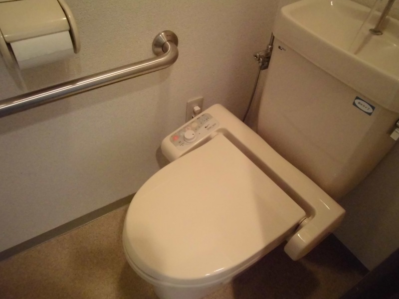 Toilet. Washlet with