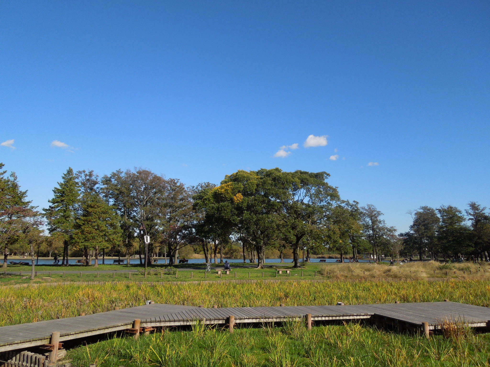 park. 721m to Metropolitan Mizumoto Park (Park)