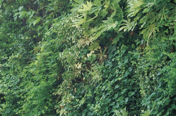 Building structure. Green wall (part) (reference photograph)