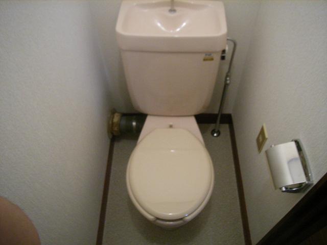 Toilet. Toilet