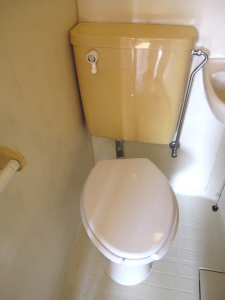 Toilet