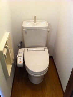 Toilet. Washlet toilet seat