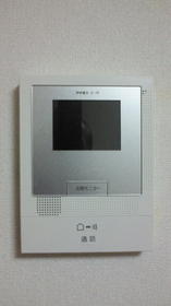 Security. With TV monitor intercom