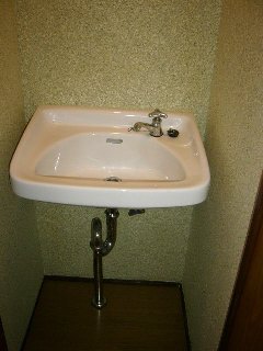Washroom. This basin