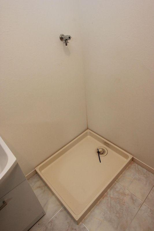 Other introspection. Laundry Area