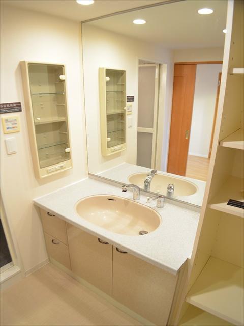 Wash basin, toilet. Wash room with storage shelves