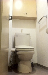 Toilet. Stuck! With adjustable shelves type door storage