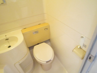 Toilet. Western-style toilet