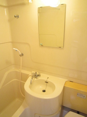 Washroom. Washbasin with mirror