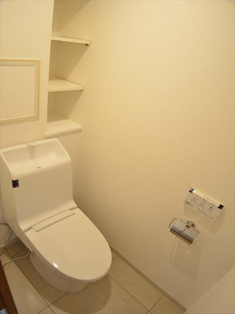 Toilet. Toilet with storage