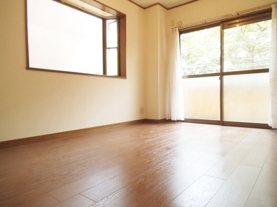 Living and room. Two-sided lighting, Bright room on the south-facing!