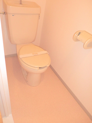 Toilet. Spacious toilet space