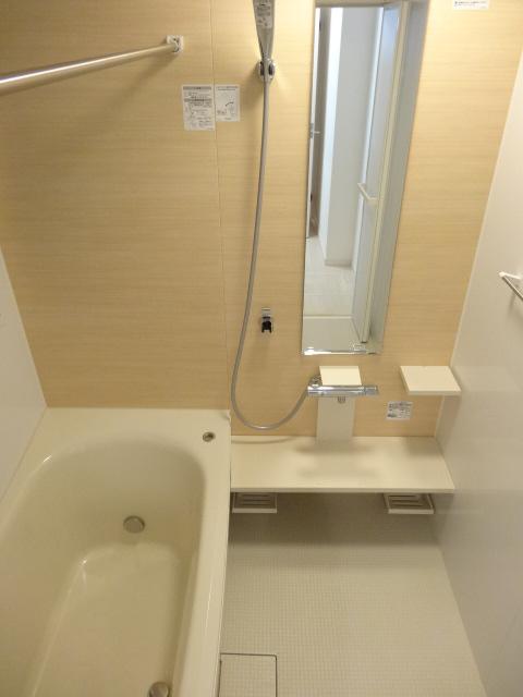 Bathroom. Room (August 2013) Shooting