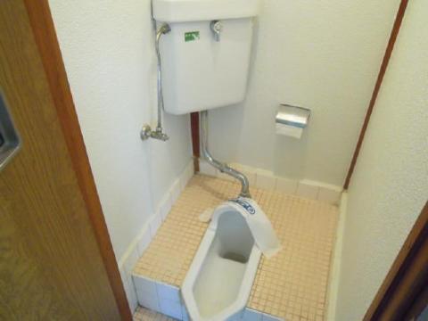 Toilet. Toilet with cleanliness