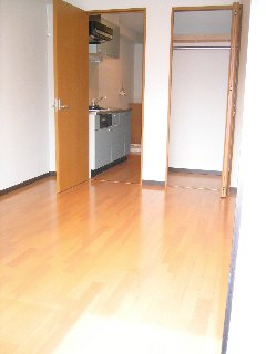 Living and room. User-friendly flooring