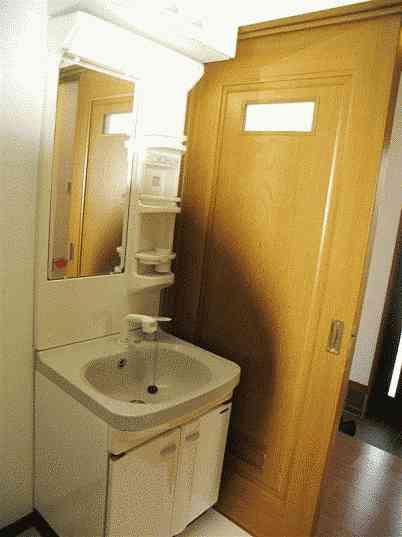 Wash basin, toilet. Powder Room 2012 / 12 shooting