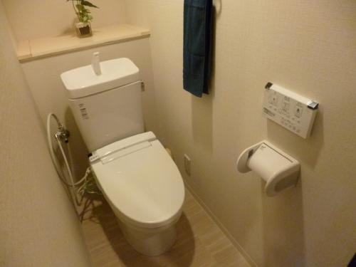 Toilet. Indoor (10 May 2013) Shooting