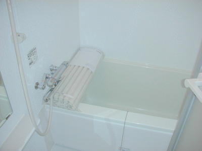Bath. Stylish bath with a bathroom dryer