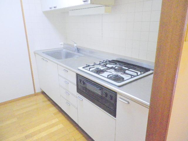 Kitchen. Large system Kitchen. It is excellent storage capacity.